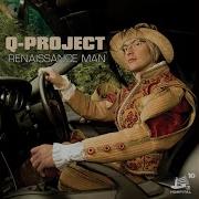 Q Project Future Look