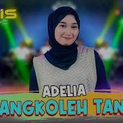 Adelia Nyangkol Tagis