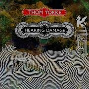 Hearing Damage