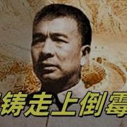 文化大革命87