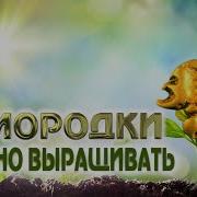 В Море На Суше И Выше