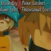 Amv Wakfu Adrenaline