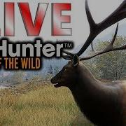 Layton Lakes Chill Stream Thehunter Call Of The Wild