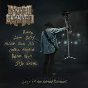 Lynyrd Skynyrd Last Of The Street Survivors