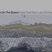 Talon Swift Snow On The Beach