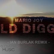 Mario Joy Gold Digger Ian Burlak Official Remix