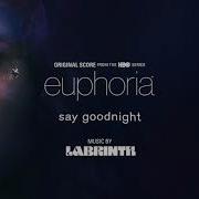 Say Goodnight Labrinth