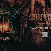 After The Burial Sway Of The Break