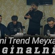 Trend Meyxanalar