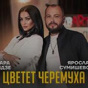 Цветет Черемуха Я Сумишевский Т Кутидзе