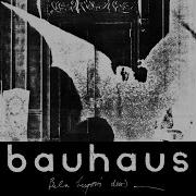 Bauhaus Bela Lugosi S Dead