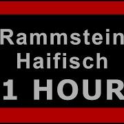 Rammstein Haifisch 1Hour