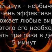 Подарок От Андрея Дуйко Шум От Любой Болезни И Любого Невезения Школа