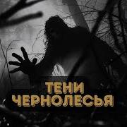 Тени Чернолесья