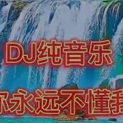 0128勁爆Dj 頂級純音樂 你永遠不懂我 超級好聽 車載專用