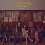 Sleep Talk Mamamoo