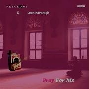 Pesukone Leon Kavanagh Pray For Me