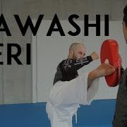 Mawashi Geri Roundhouse Kick Team Ki