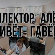 Коллекторы Коллектор Алёна Живёт Гавёна