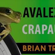 Avalez Le Crapaud