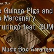 Guinea Musical Box