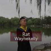 Rat Waynekelly