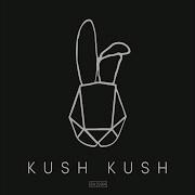 Kush Kush Fight Back With Love Tonight Get Better Rmx