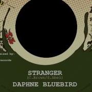 Stranger Daphne Bluebird