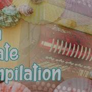 Fisa Estate Compilation Mix Brani Fisa Per Serate Ballo Liscio Accordion Music