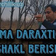 Дарахтларга Шакл Бериш Daraxtlarga Shakl Berish