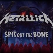 Metallica Spit Oit