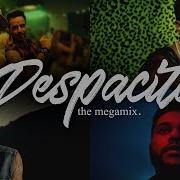 Despacito Mashup Shawn Mendes Enrique Alan Walker Trapper Saint