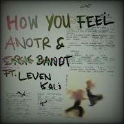 How You Feel Original Mix Anotr