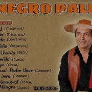 Negro Palma