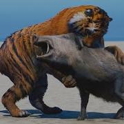 Lion Vs Tiger Far Cry 4