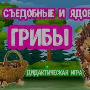 Про Грибы Для Детей