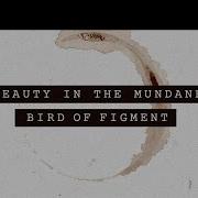 Beauty In The Mundane Bird Of Figment