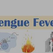 Dengue Fever