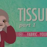 Tissue