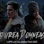 Lupii Lui Calancea Ft Guz