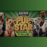 Pup Star World Tour Fan Made