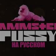 Rammstein Pussy На Русском