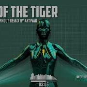 Eye Of The Tiger Survivor Workout Remix By Antwan