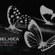 Belocca Metamorphosis