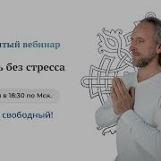 Аудиокнига Синельников Прививка От Стресса