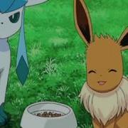 Pokemon Eevee Evolution Amv Timber