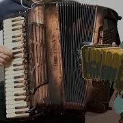 Accordion Kass Theme The Legend Of Zelda Breath Of The Wild Ost