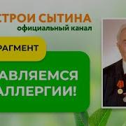 Аллергия Настрой Сытина