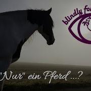 Nur Ein Pferd