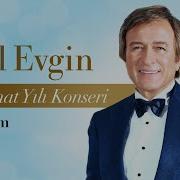 Erol Evgin